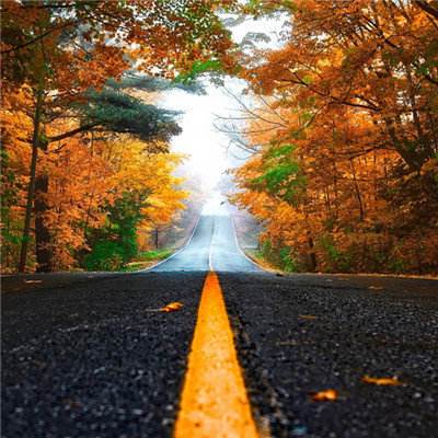 加拿大28app下载截图